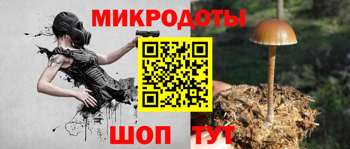 Красноармейск  Галлюциногенные грибы Psilocybe  Вход с VPN  Галлюциногенные грибы Magic Shrooms 