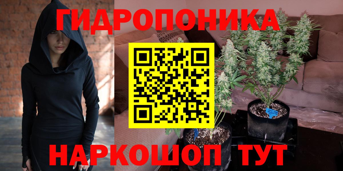 Бошки Шишки сатива  Вход с VPN  Красноармейск  Каннабис тримм  Конопля конопля 